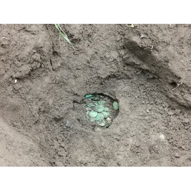 Detektorfund af Claus Gundersen (Minelab Vanquish 540)