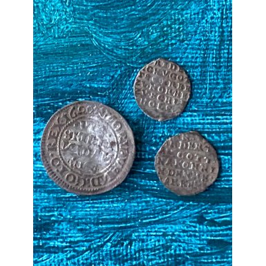 Verdens mindste mntskat