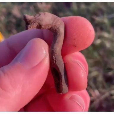 Dragehoved - vikingetid