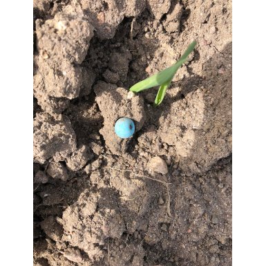 Oldtidsperle fundet med jnene p detektortur!