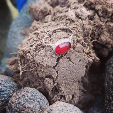 Detektorfund af Ulla Maria Olsen (XP Deus II)