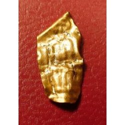 Sgehoved X-Terra 13 x 25 cm 18.75 kHz hjfrekvens