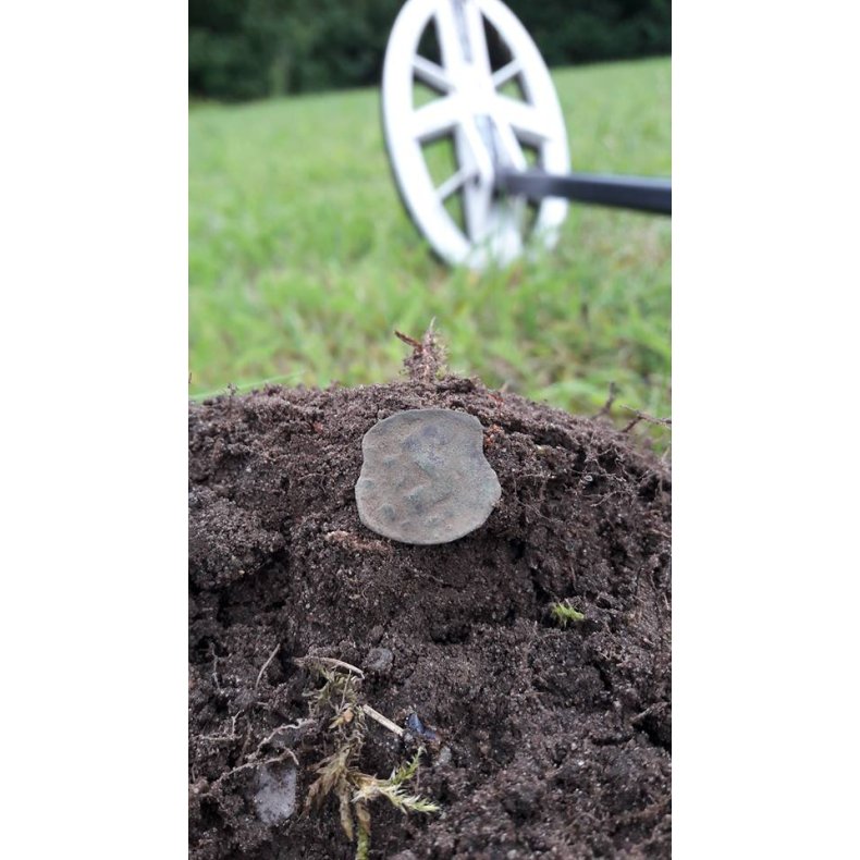 Sgehoved XP 24 x 13 cm DD HF