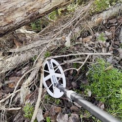 Sgehoved XP HF2 - 24 x 13 cm DD