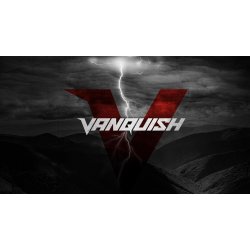 Minelab Vanquish 540