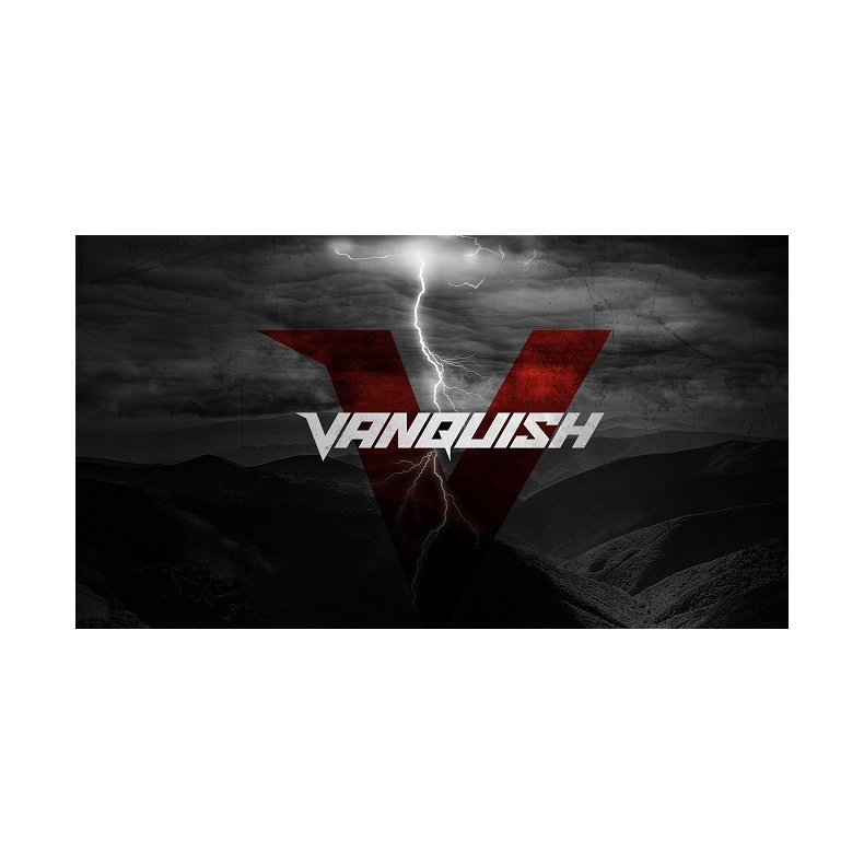 Minelab Vanquish 540