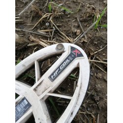 Sgehoved XP 24 x 13 cm DD HF